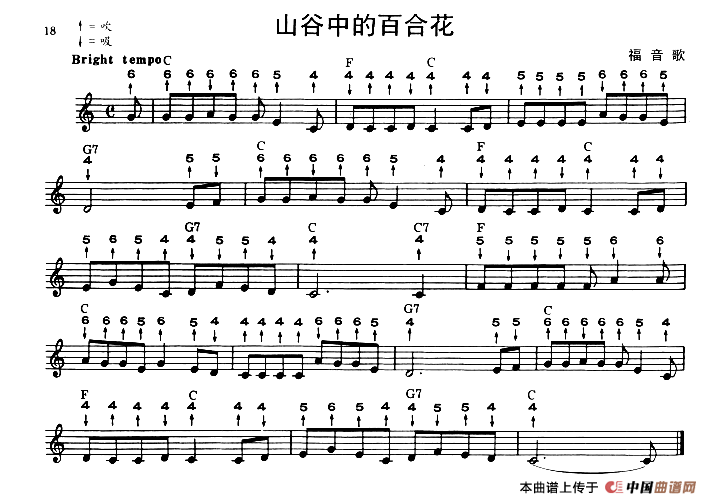 山谷中的百合花（布鲁斯）