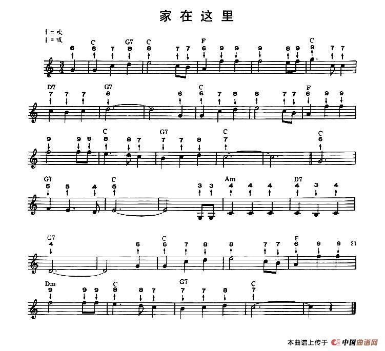 家在这里（布鲁斯）