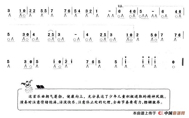 海鸥