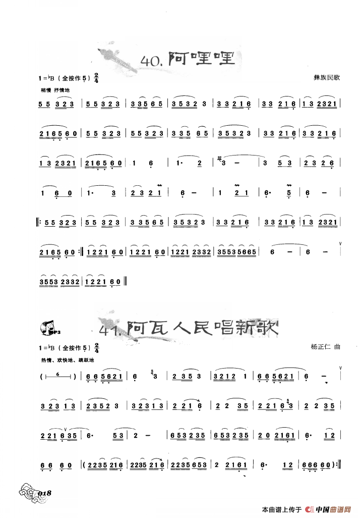 葫芦丝曲精选：阿哩哩 阿佤人民唱新歌