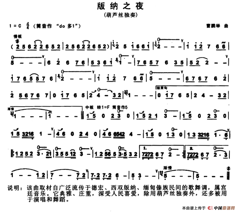 版纳之夜