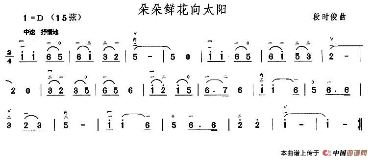 朵朵鲜花向太阳