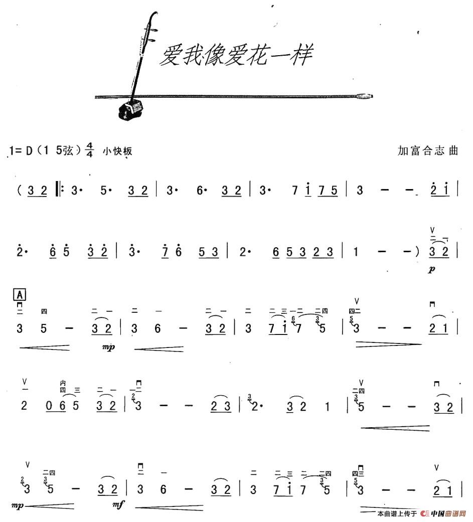 爱我像爱花儿一样