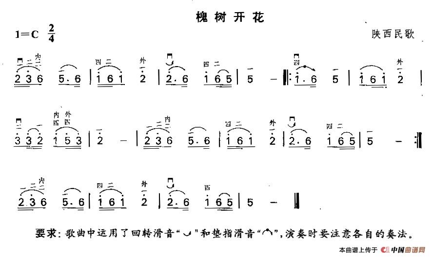 槐树开花